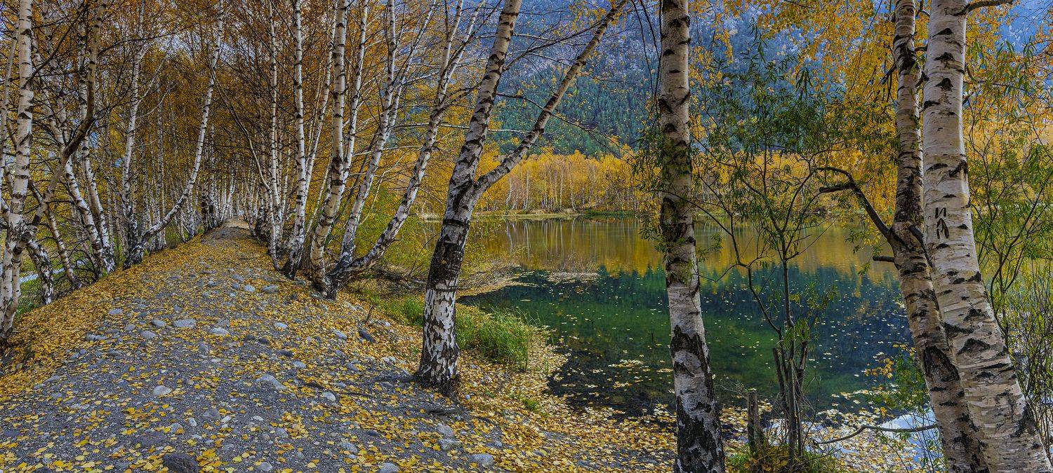 , ДМИТРИЙ ПУЗЕНКО