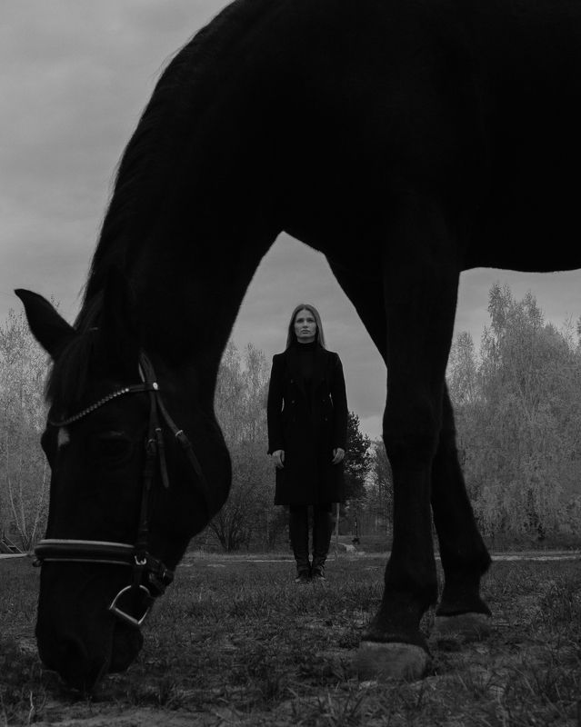 Black Horse фото превью