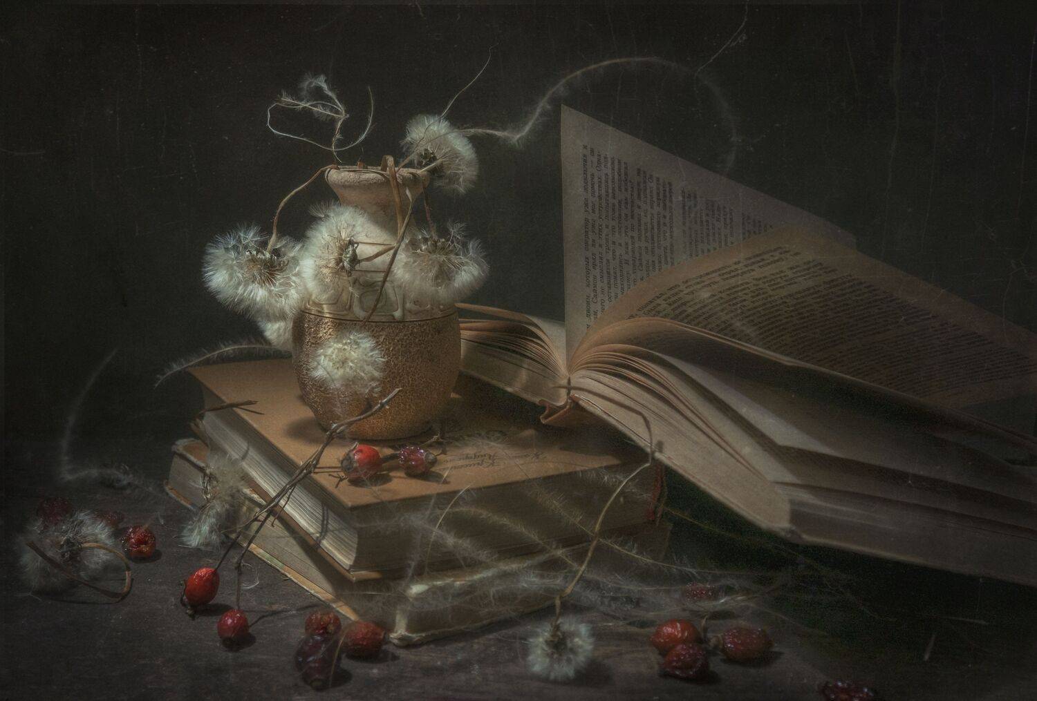 старый ,засушенный, шиповник,вялость,шиповник,одуванчики,книги, Владимир Володин