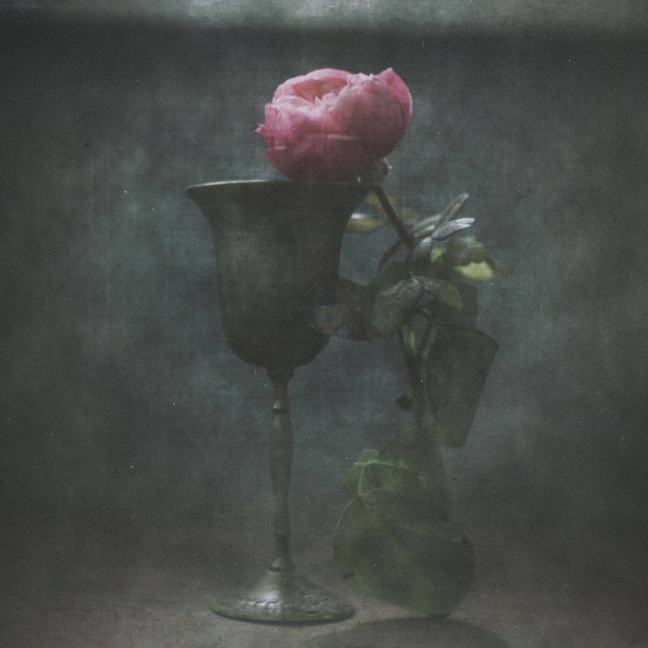 , Татьяна Аверина