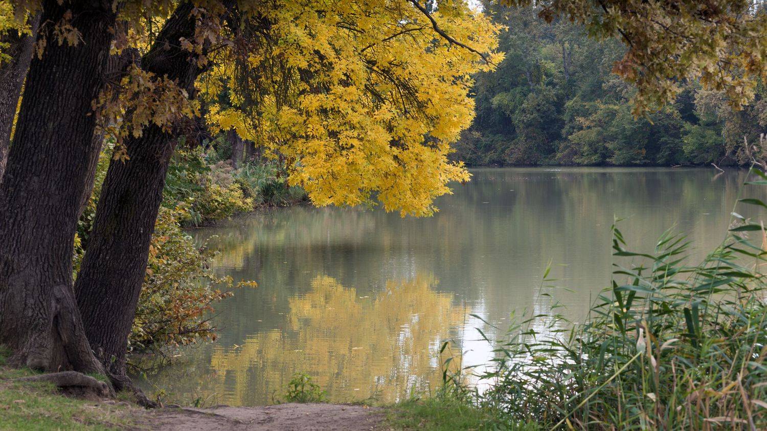 , Алексей Рыльский