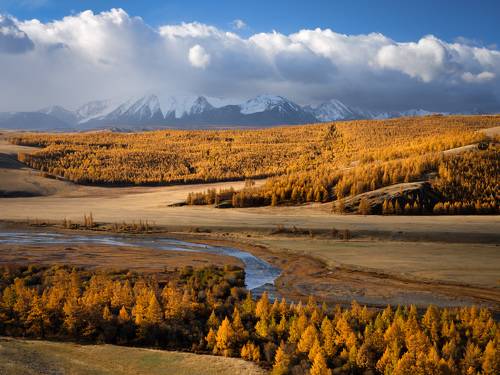 Золотая осень.