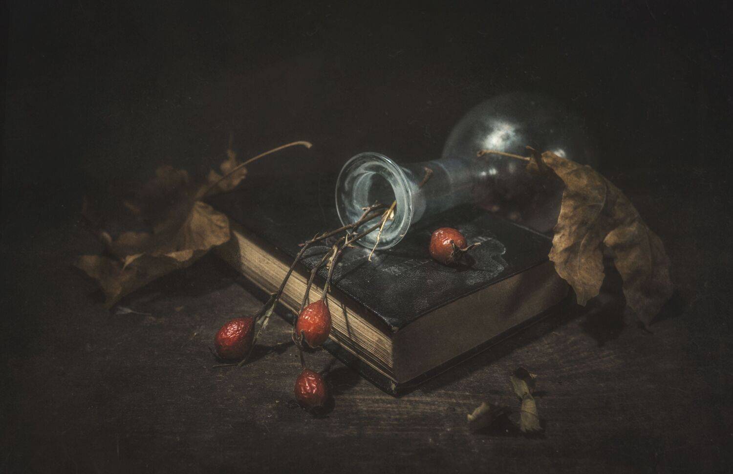 осень,шиповник,бутылка,книга,листья, Владимир Володин