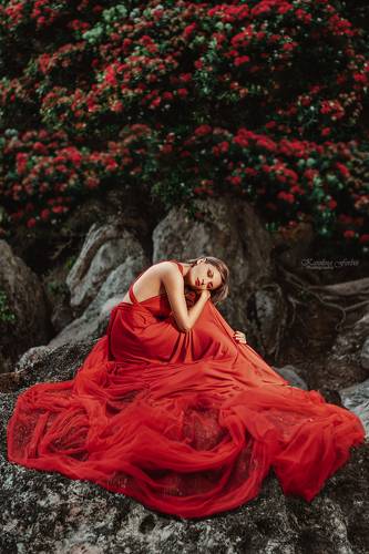 Pohutukawa dreams 2