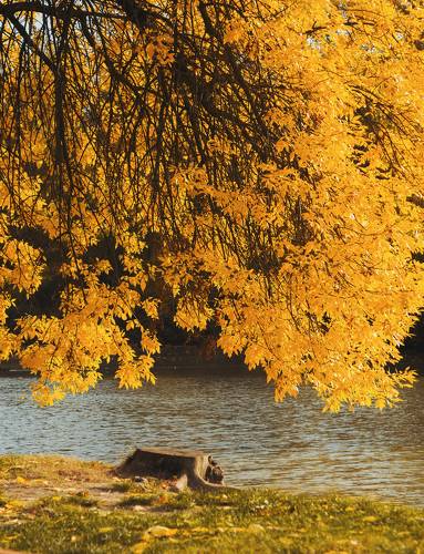 Екатеринодарский октябрь: начало.