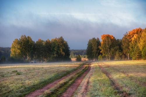 первые заморозки