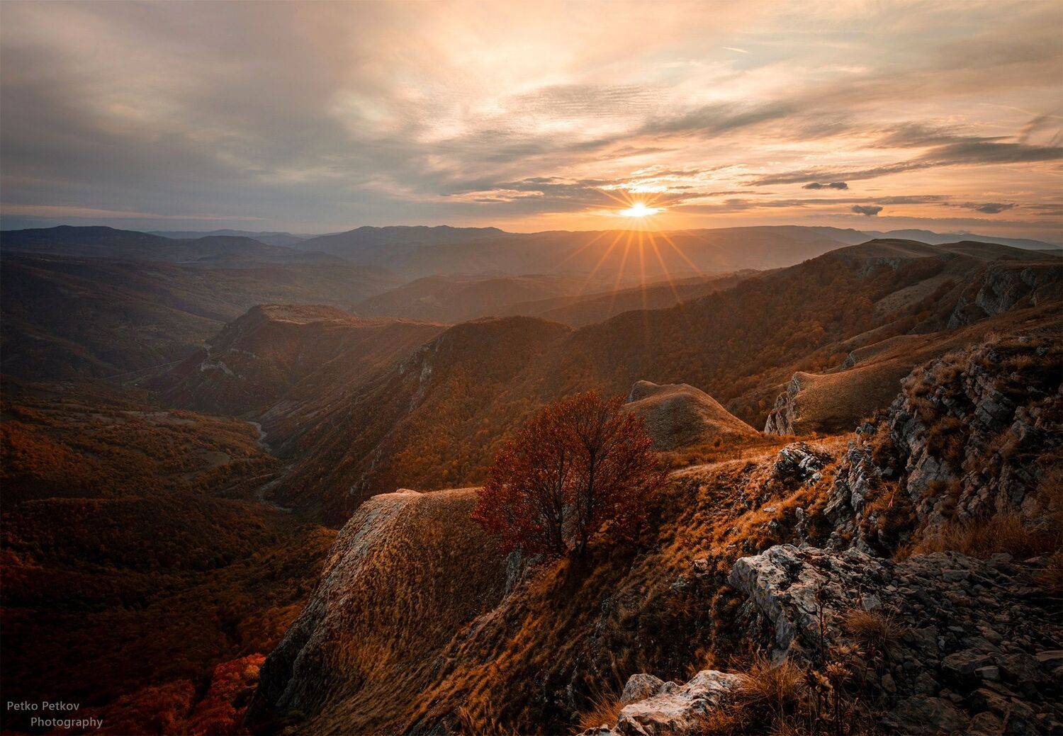 , Петко Петков