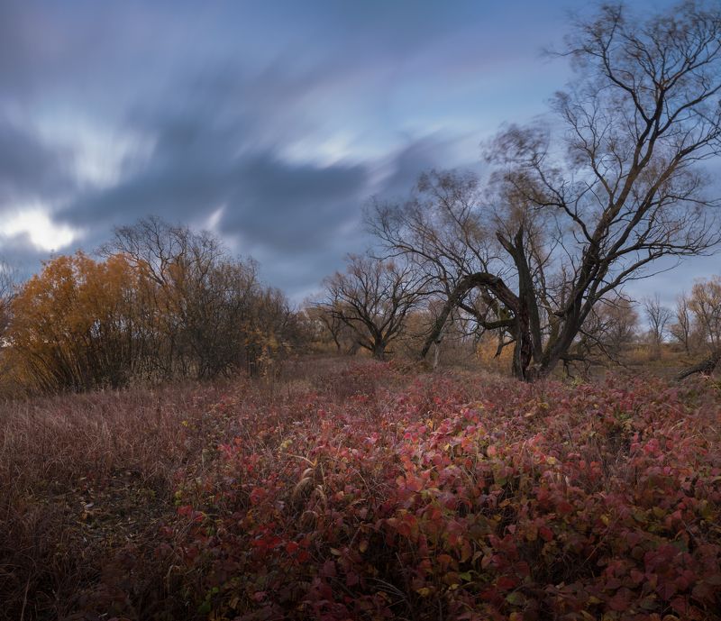 Красный октябрь фото превью