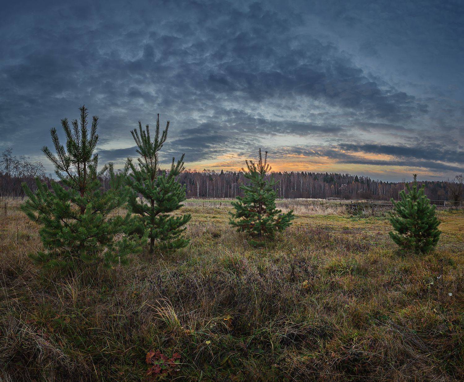 , Николай Андреев