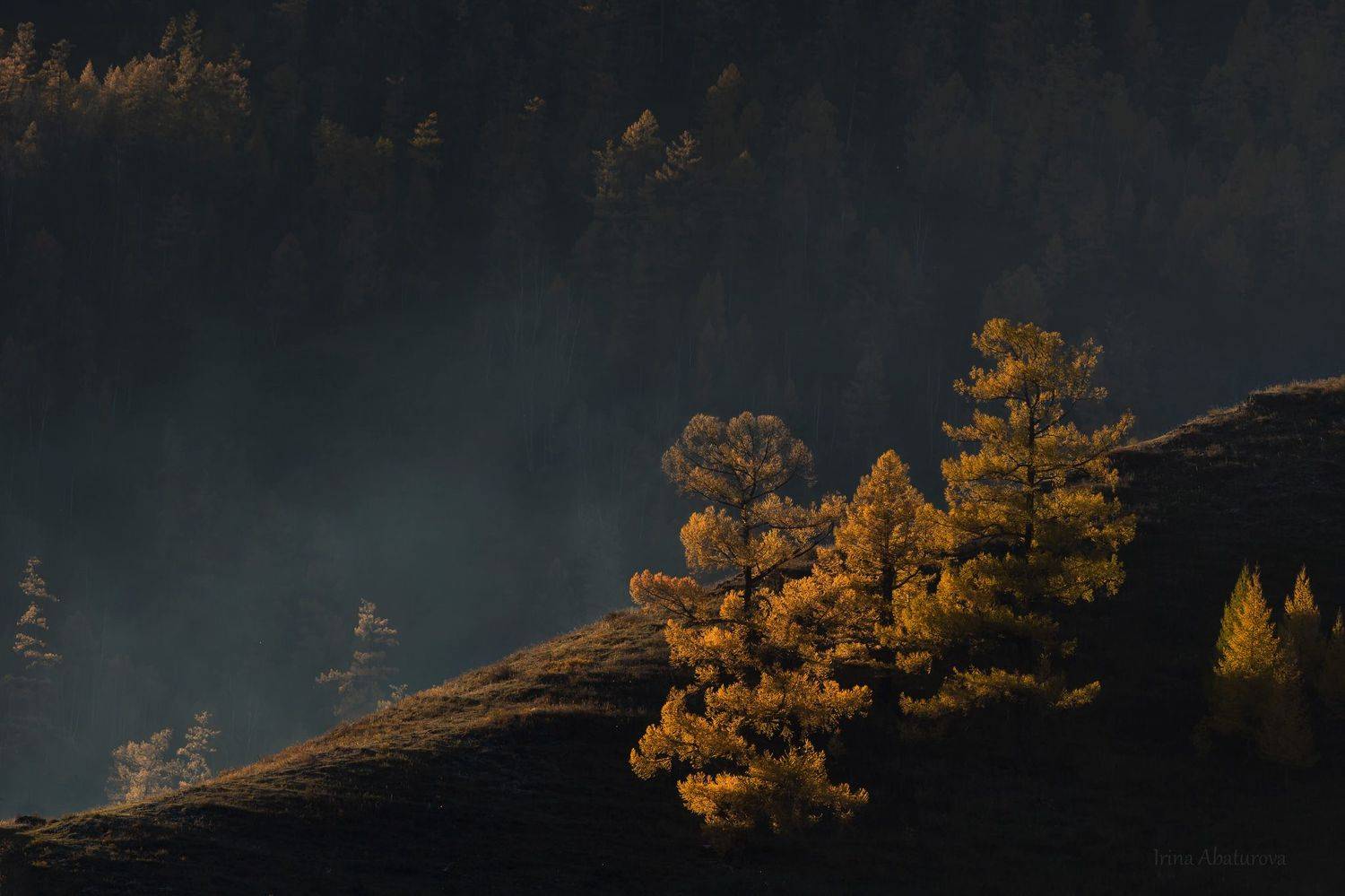 , Ирина Абатурова