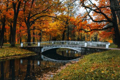 Осенние краски