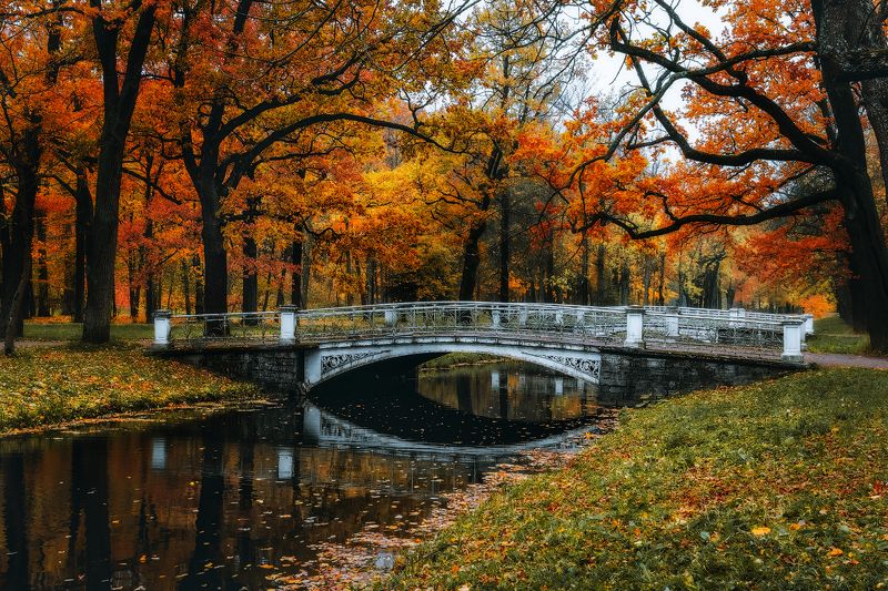 пушкин, осень, царское село, парк Осенние краски фото превью