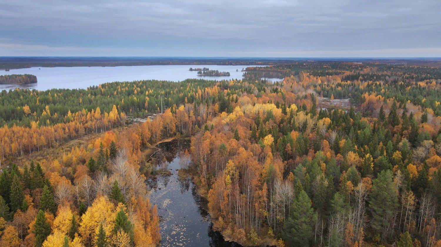 , Александр Коротков