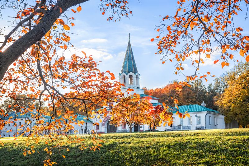В осенних листьях фото превью