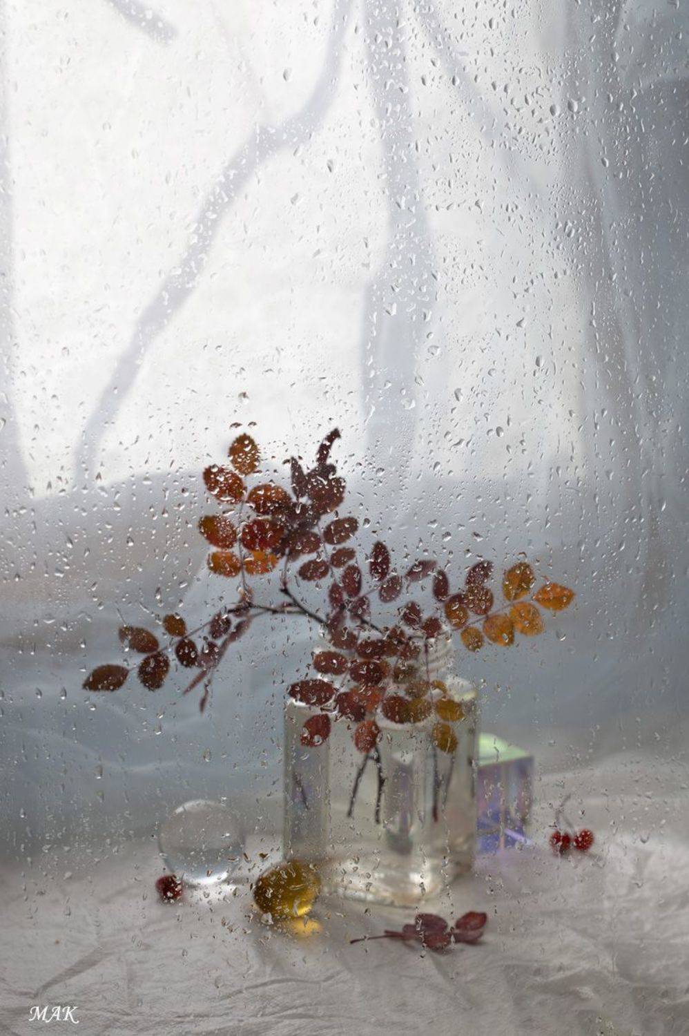 , Марина Кулакова