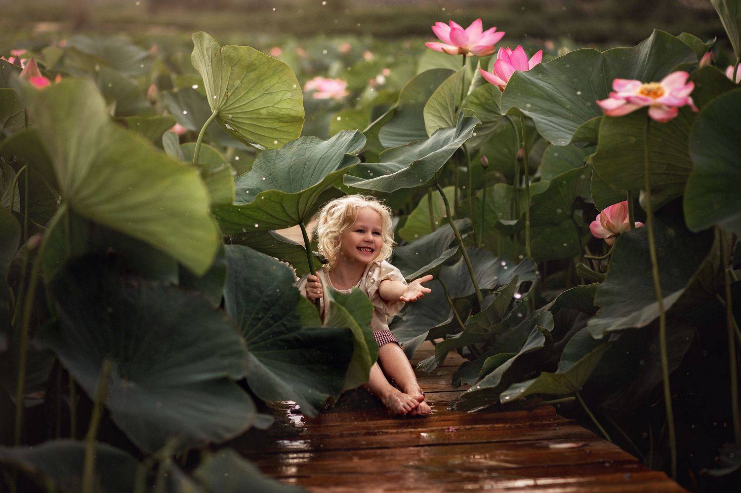 , Наталия Дмитриенко