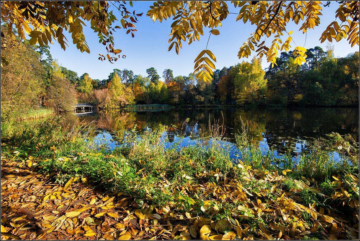 москва, осень, озеро, лес, отражение, АНАТОЛИЙ ДОВЫДЕНКО