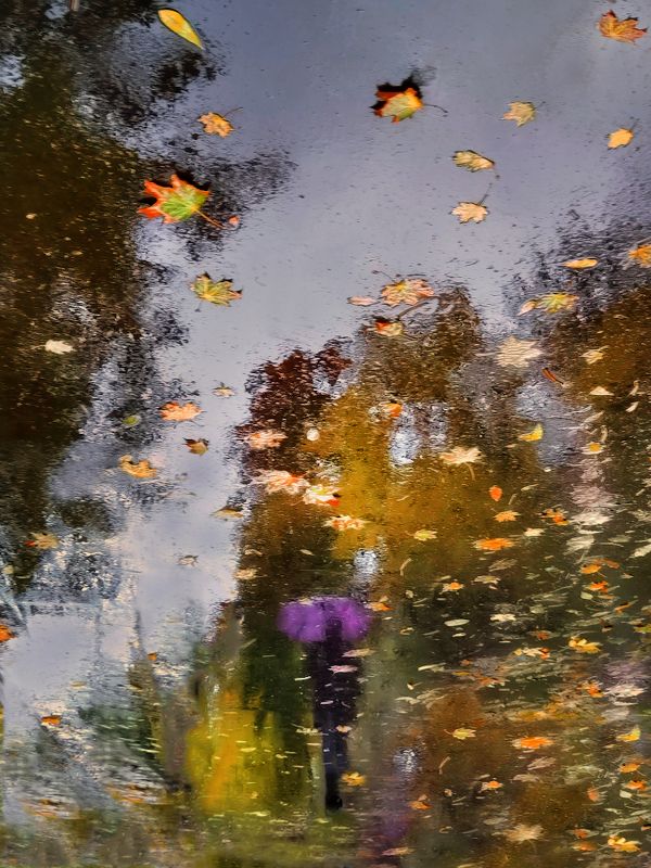 Осень рисует отражения на асфальте... фото превью