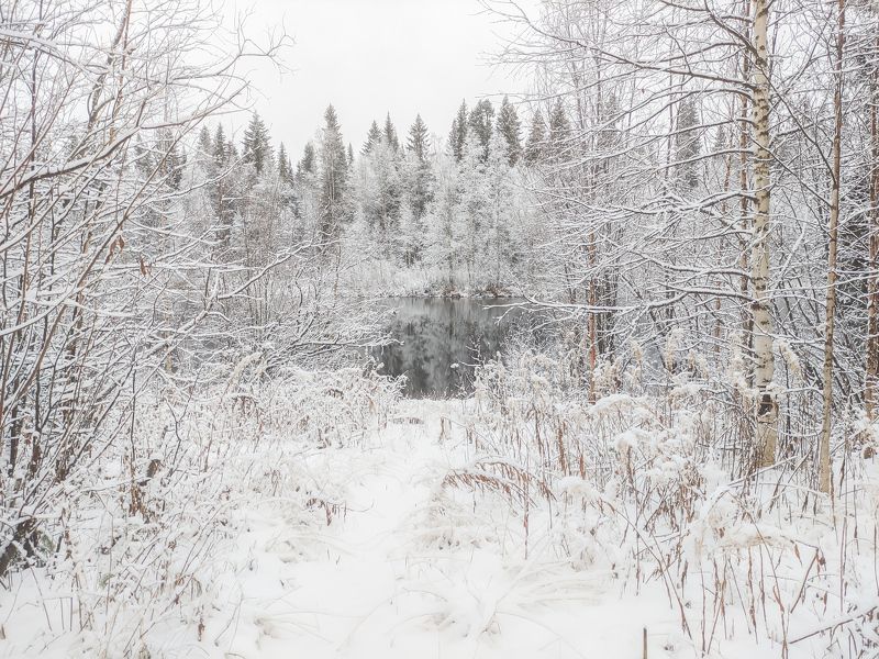 Зимний октябрь фото превью