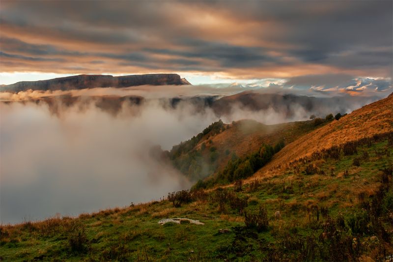 природа, пейзаж, горы, кавказ, природа россии, дикая природа, утро, рассвет, свет, облака, осень Канжол над облаками фото превью