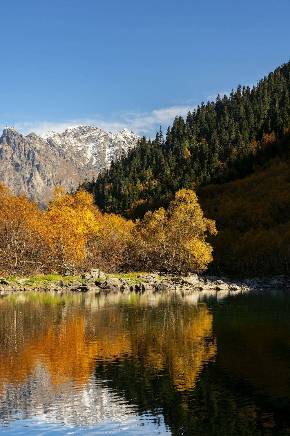 , Юлия Шумляева