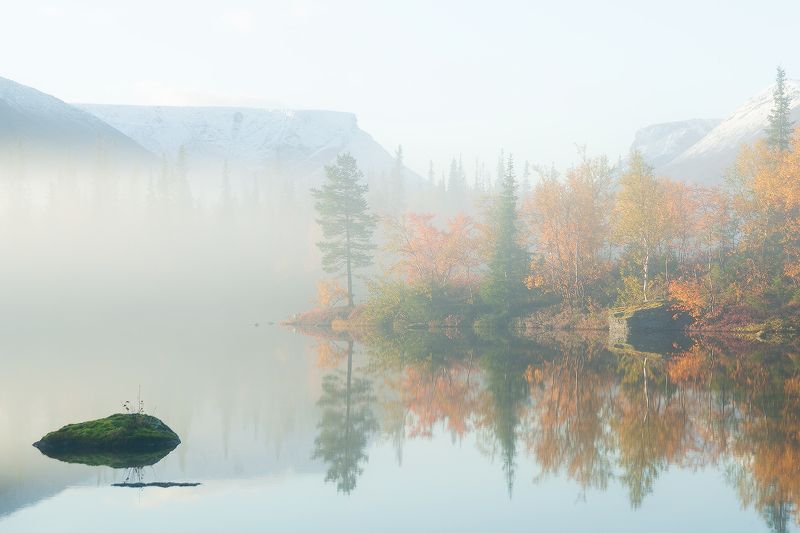 озеро, туман, Хибины, Мурманск, область, Россия, сентябрь, осень. листья, туман, оранжевый, утро, остров, камень Утро на Полигональных озерах фото превью