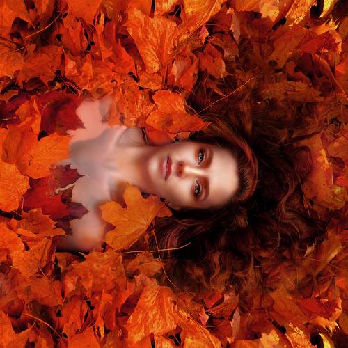 portrait in autumn leaves
