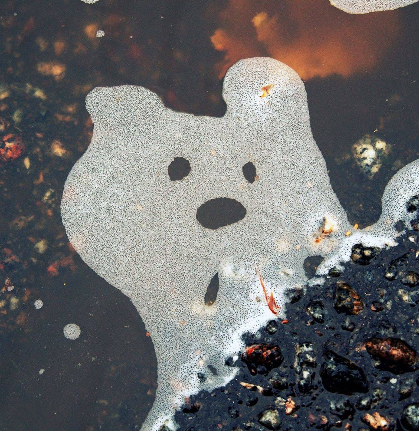 pareidolia, ПОЛУЕВ ИЛЬЯ