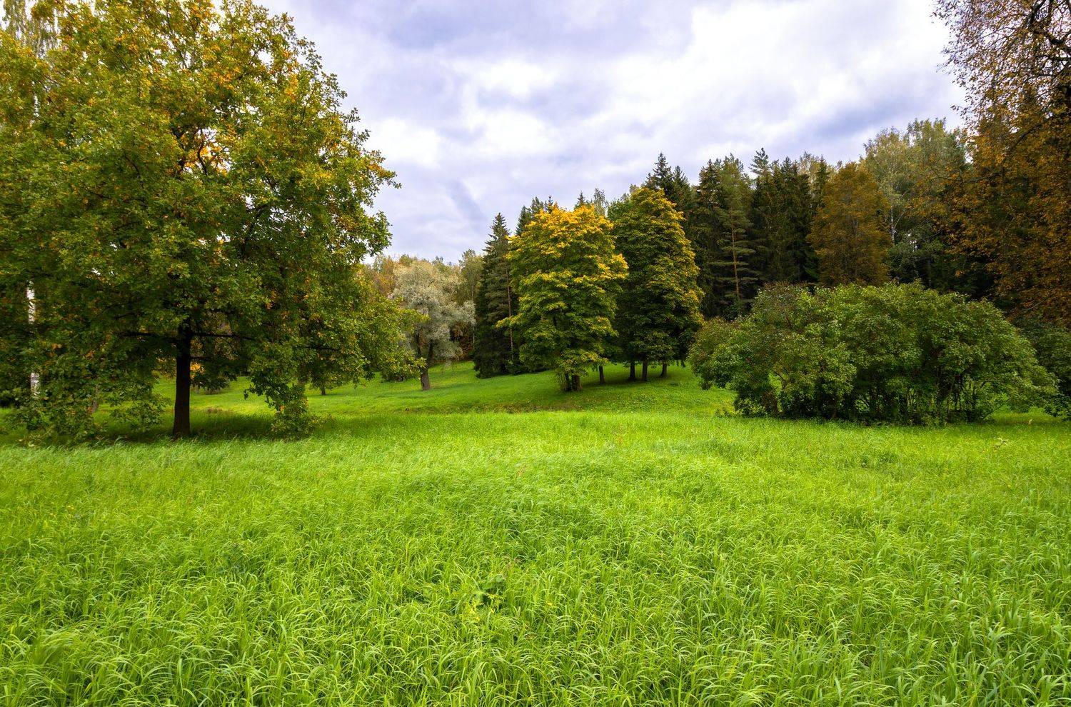 , Алексей Герасимов