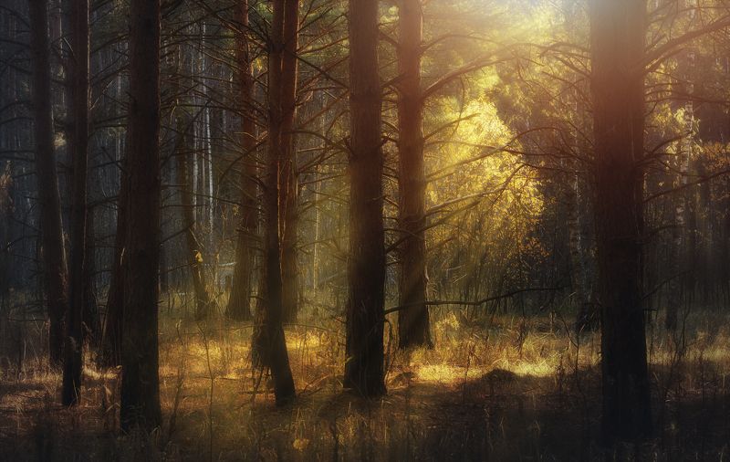 Последние дни осени. фото превью