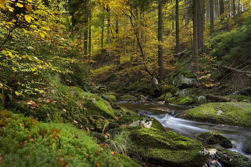 Karkonosze фото превью