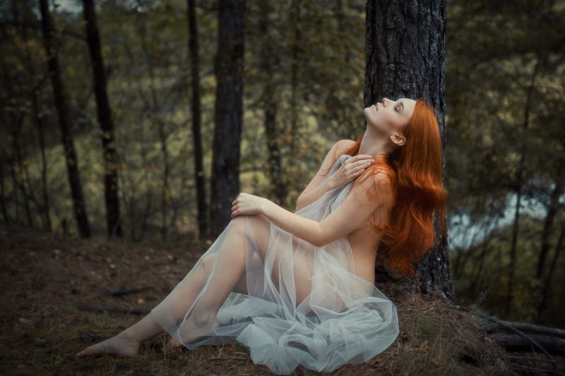 Woodland фото превью