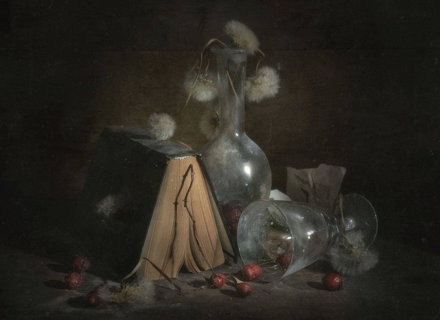 книга,шиповник,одуванчики,старое,пыль,бутыль,стакан,стекло,рустик, Владимир Володин