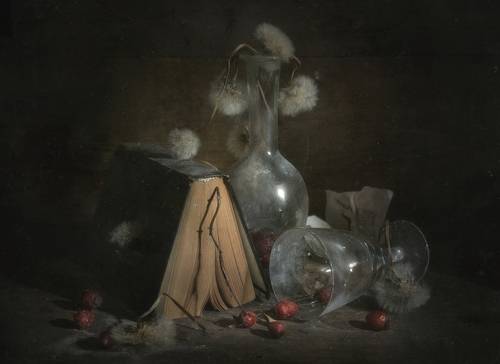 Прочитанное