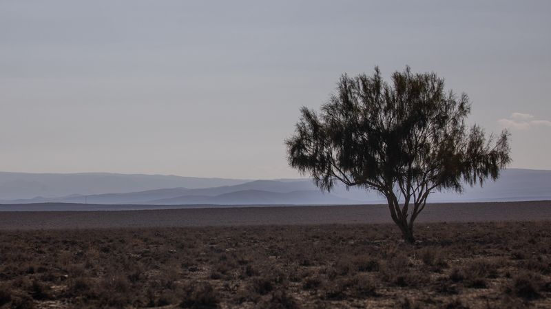 Desert of North Uzbekistan фото превью