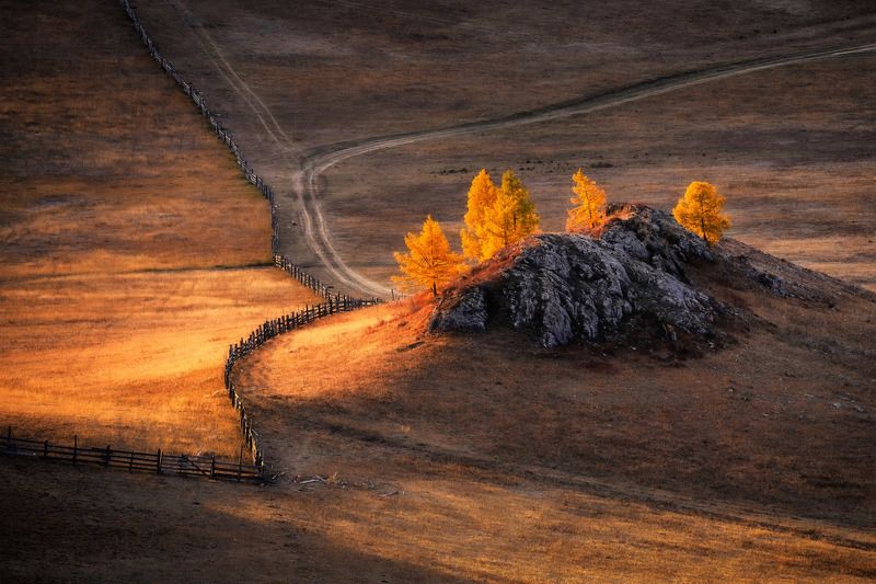 Осенние костры