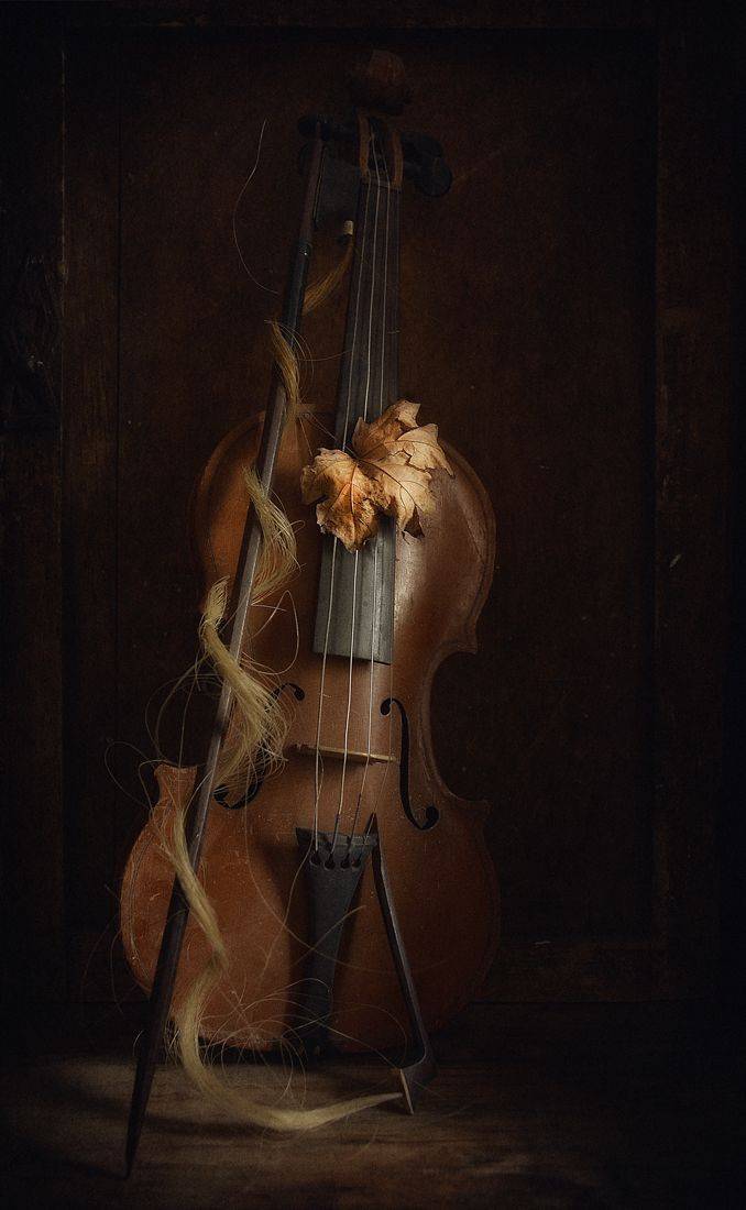 , Александр Хромеев