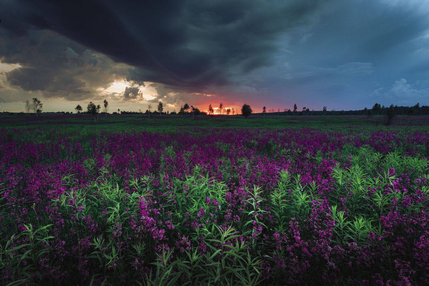 , Николай Брытков