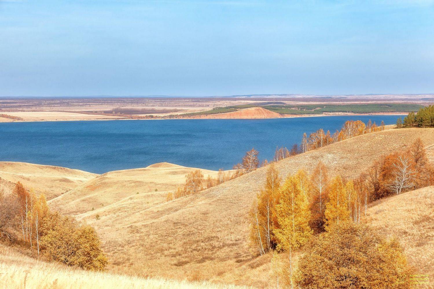 , Алексей Никитин