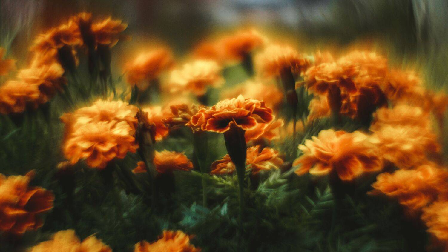 , Юрий Вертиков