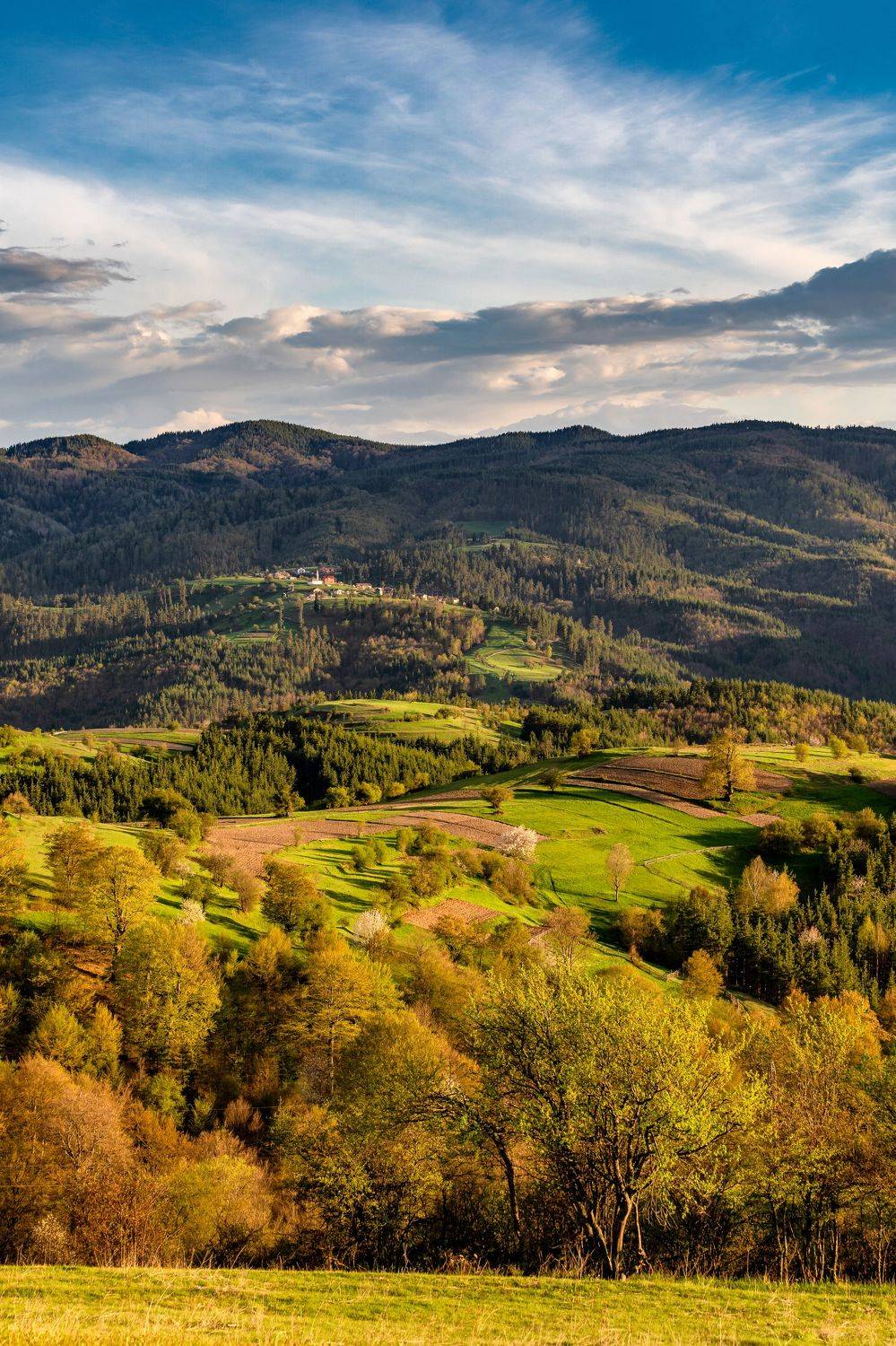 , Пламен Куденко