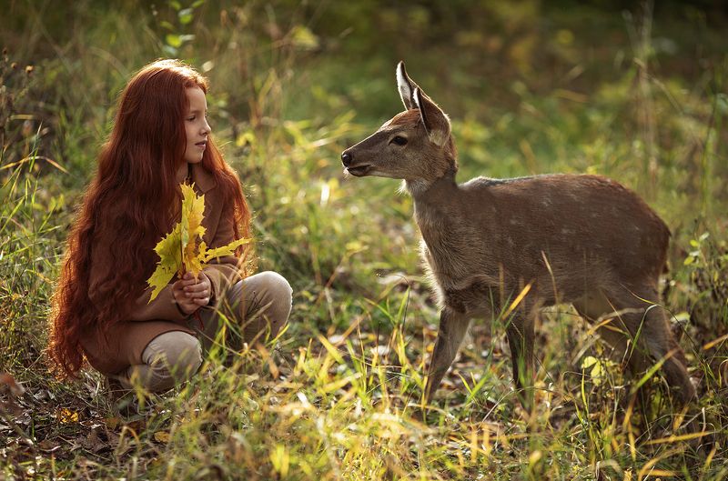 девочка, оленёнок, сюжет, осень,природа, girl, fawn,story, autumn, nature Чудесное знакомство фото превью