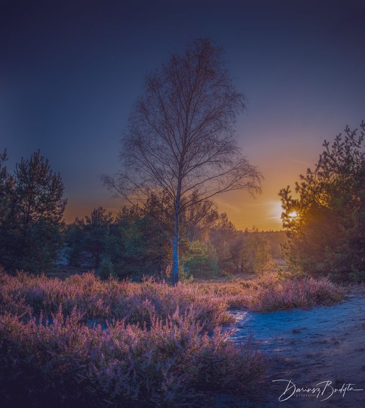 Sunrise фото превью