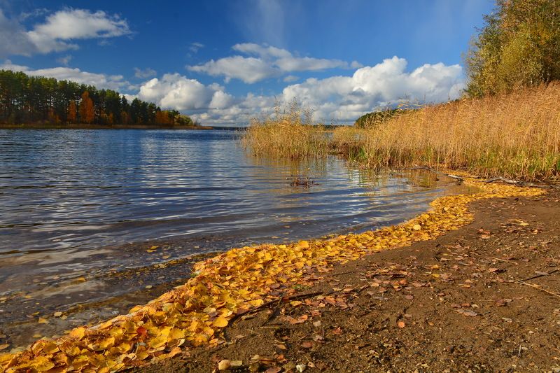 Осень Берег Селигера фото превью