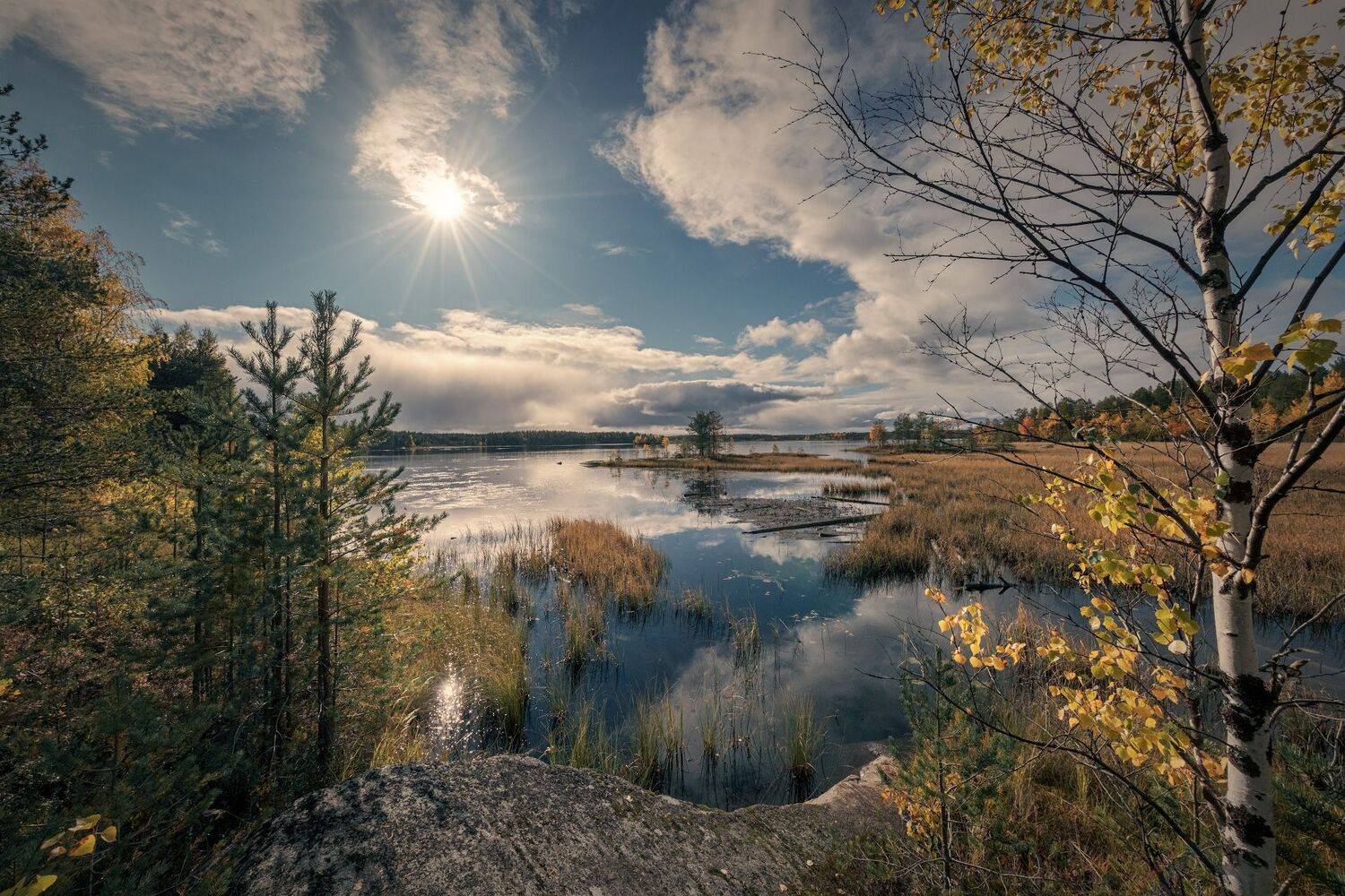 осень, река, вода, солнце, лес, деревья, скалы, камни, желтый, золотой, сентябрь, пейзаж, природа, путешествие, карелия, сегежа, Андрей Чиж