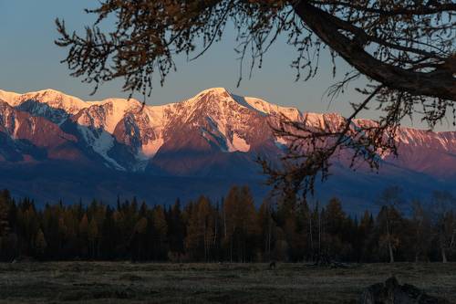 Рассвет в Курайской степи