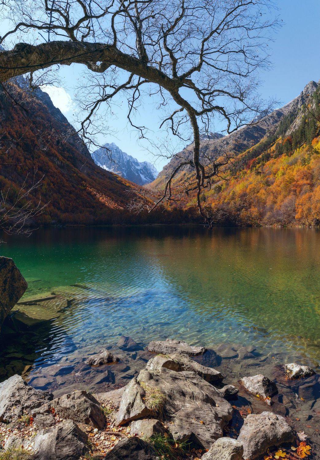 , Юлия Шумляева