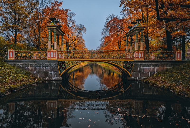 пушкин, царское село, осень, китайские мосты  фото превью