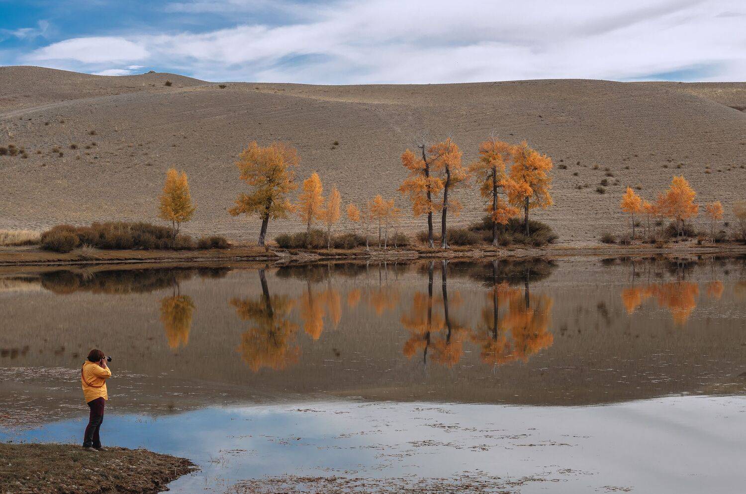 , Юрий Грамаков