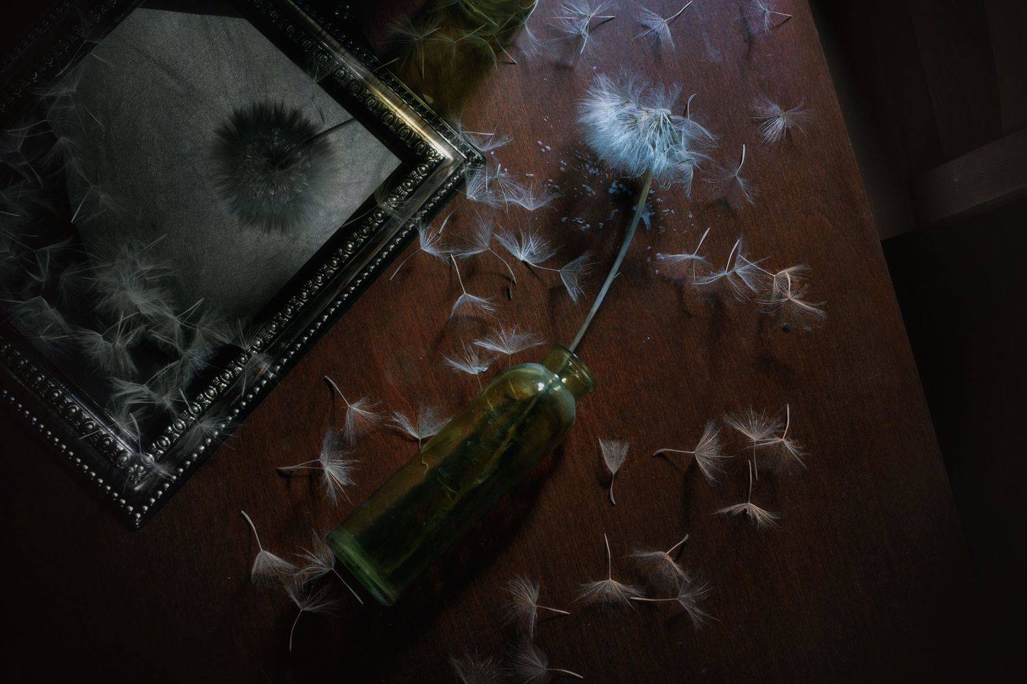 одуванчик, натюрморт, вид сверху, Наталья Голубева